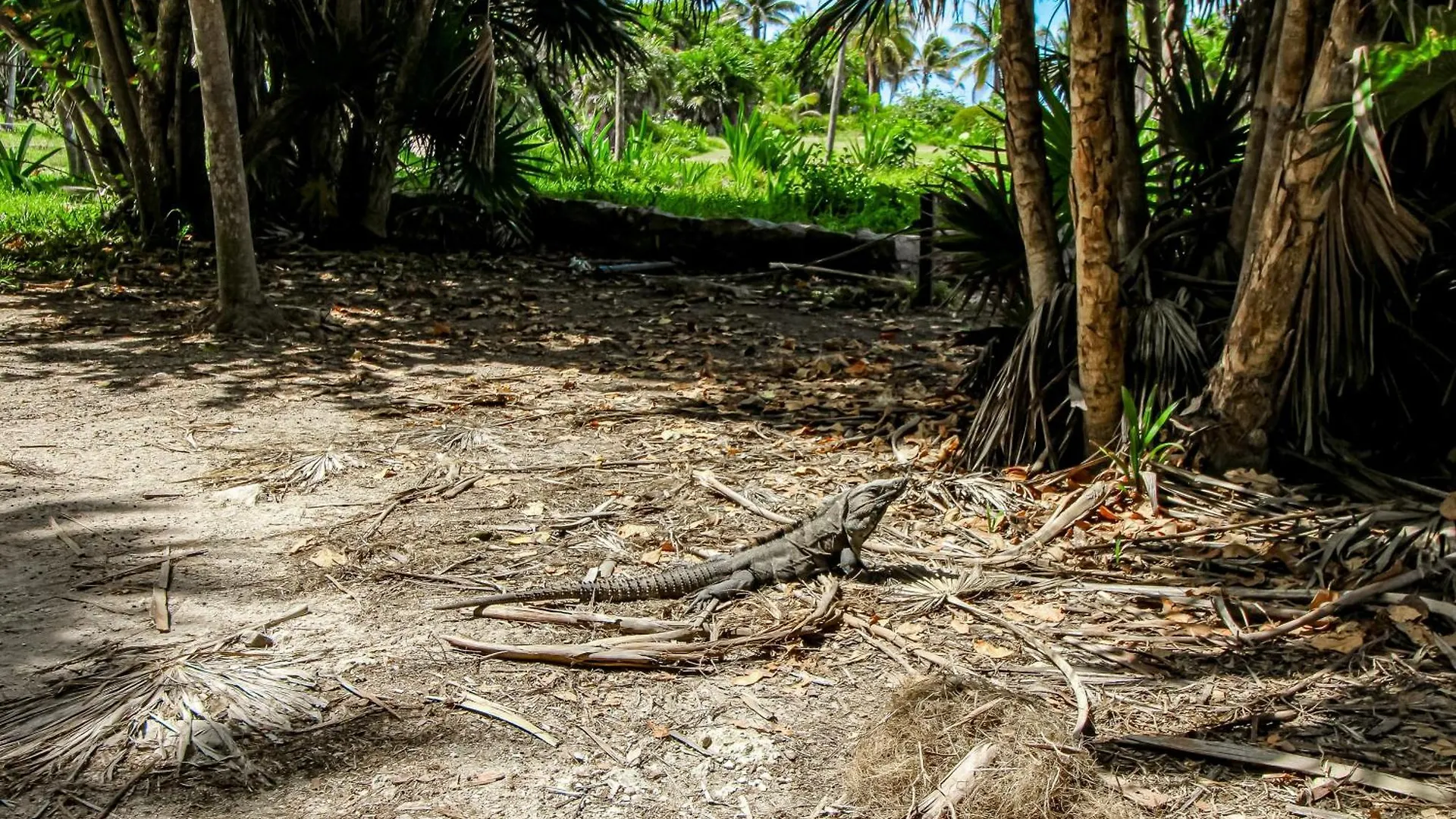 Botanica Tulum, # 302 Ph, Aldea Zama Two Bedrooms